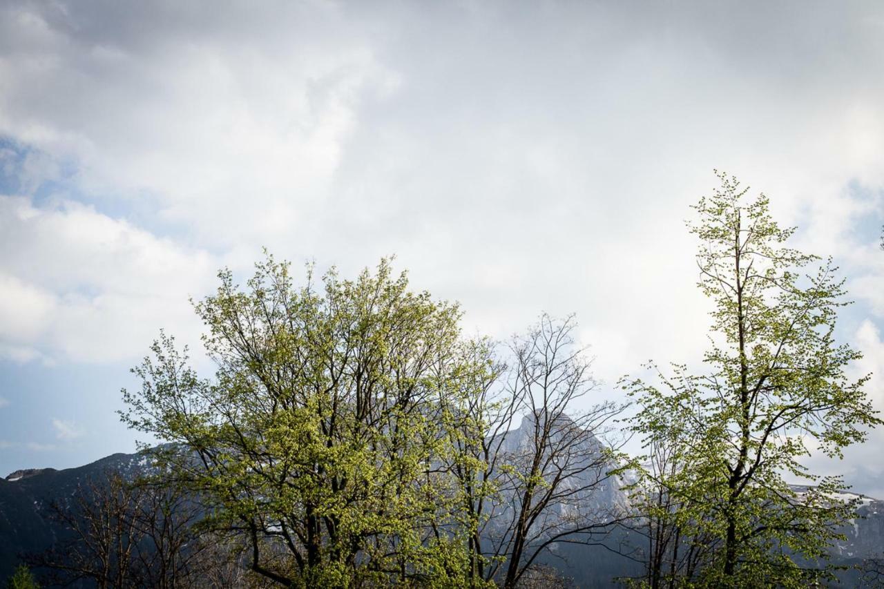 Górski klimat Zakopane Exterior foto